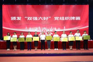 喜报！天行（中国）天行在线党支部荣获广州市非公有制经济组织“双强六好”党