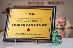 同心协力 合作共赢 | 天行（中国）天行在线揽获希音客户两大奖项